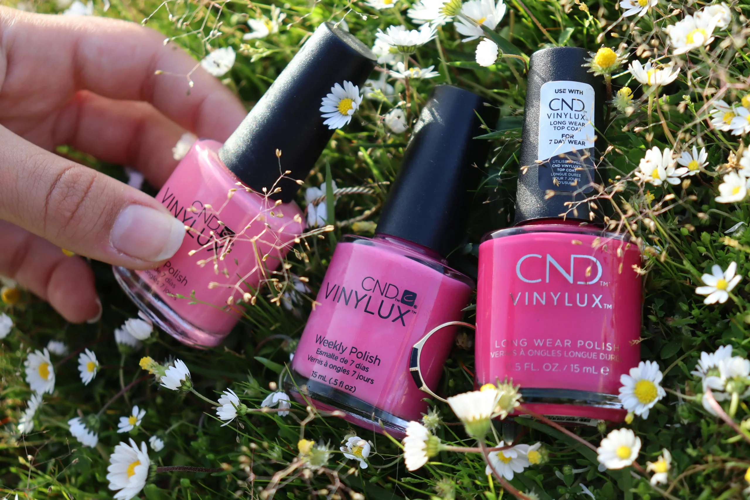 Luxury nail polish collection